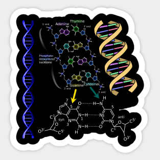 DNA Double Helix Chemical Formula Molecules Science Art Sticker